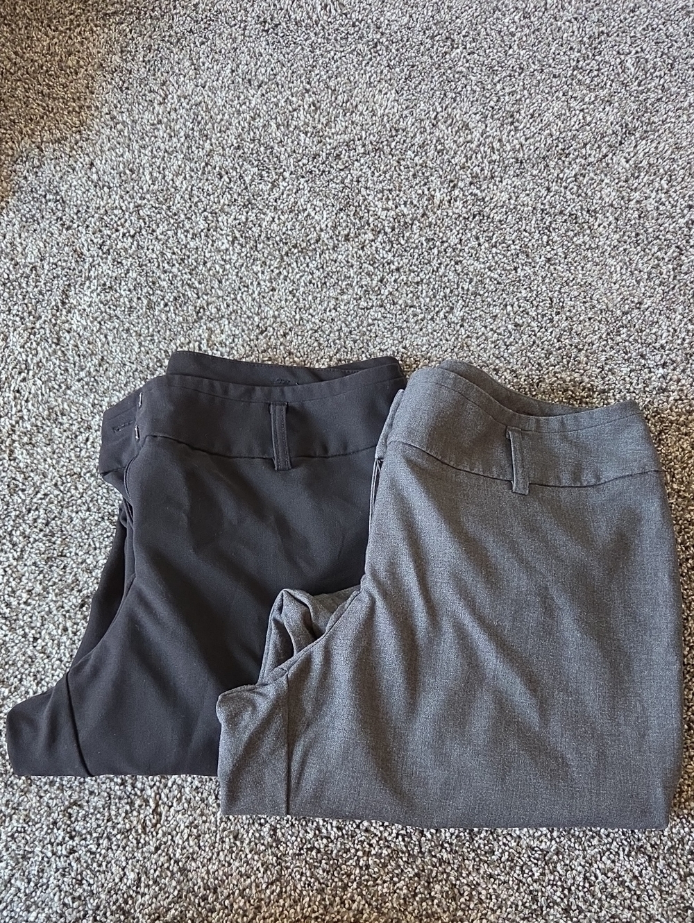 Worthington Straight Leg Dress Pants in Black and Gray